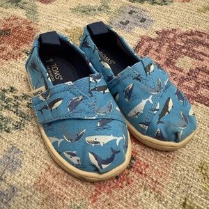 TOMS Toddler Blue Shark Print Shoes
